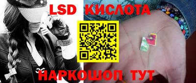 гидра Заводоуковск