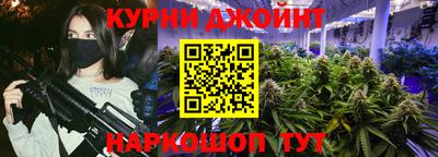 гидра Заводоуковск